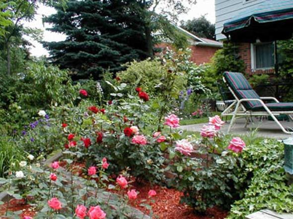 Dorchester House Bed and Breakfast Niagara Falls Esterno foto